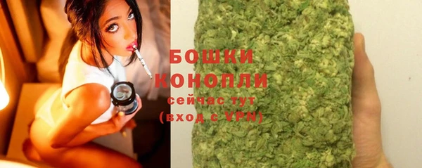 шишки Михайлов