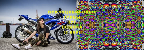 Альфа ПВП Михайловск