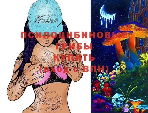 Альфа ПВП Михайловск