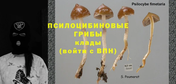 шишки Михайлов