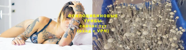 Альфа ПВП Михайловск
