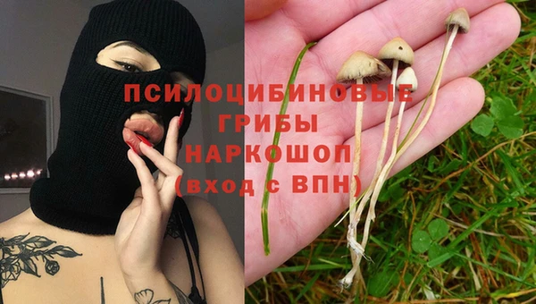 шишки Михайлов