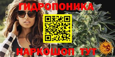 прущие крисы Волжск