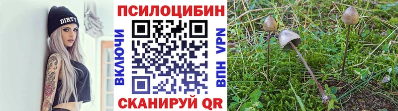 Галлюциногенные грибы ЛСД  Ессентуки 
