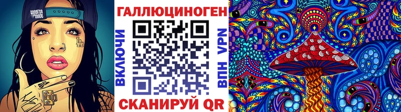 Галлюциногенные грибы Psilocybe Ессентуки