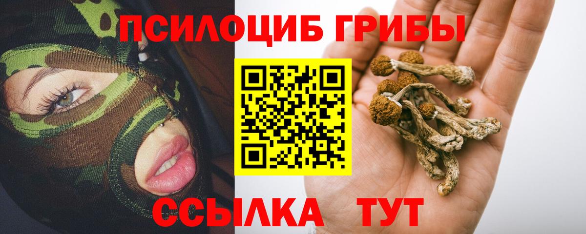 Галлюциногенные грибы Psilocybine cubensis  Вход с VPN  Ессентуки 