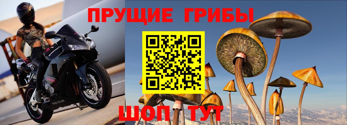 купить наркотики цена  Ессентуки  Галлюциногенные грибы мухоморы 